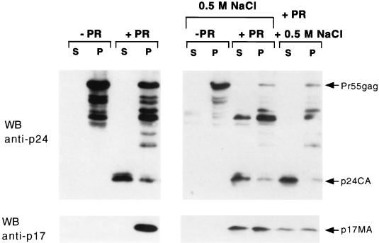 FIG. 5