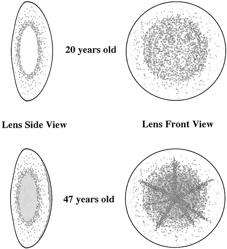 Figure  2