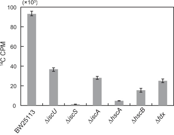 FIG 2