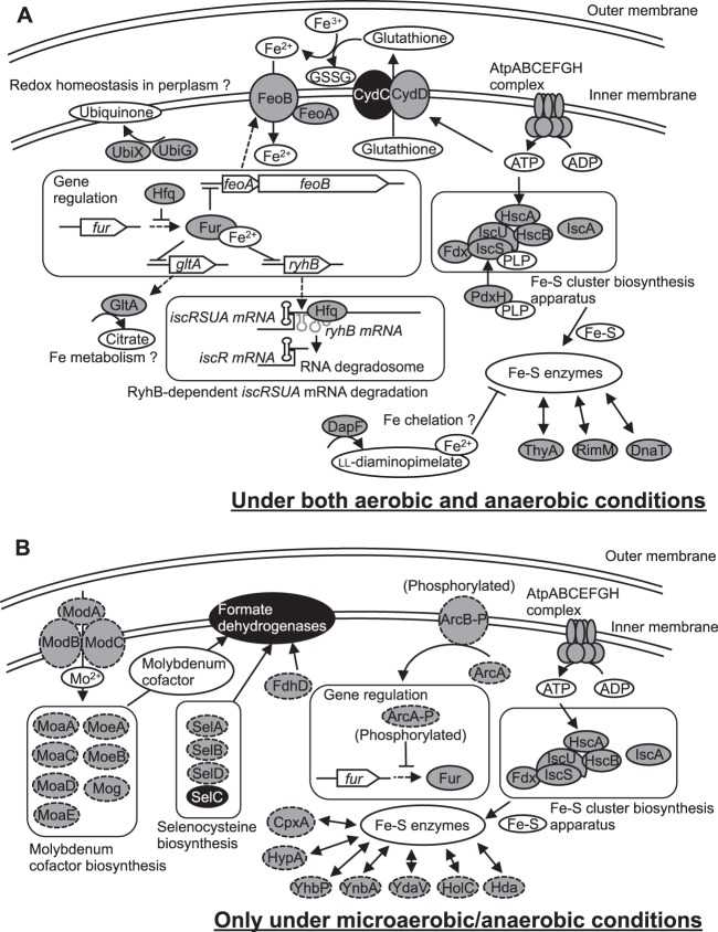 FIG 6