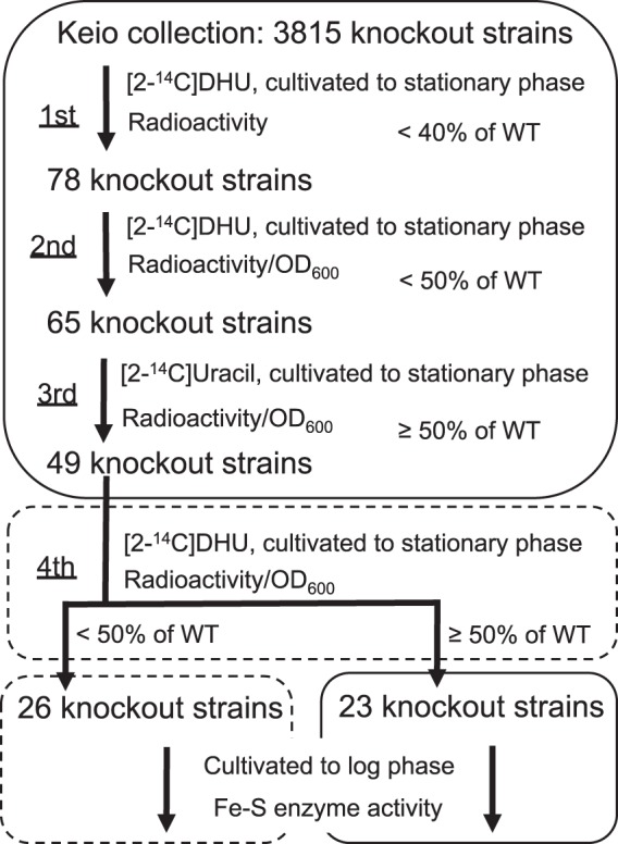 FIG 3