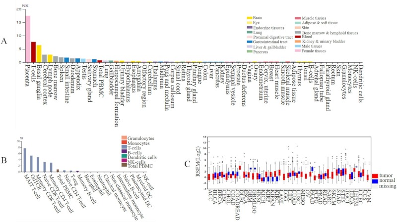 Figure 3.