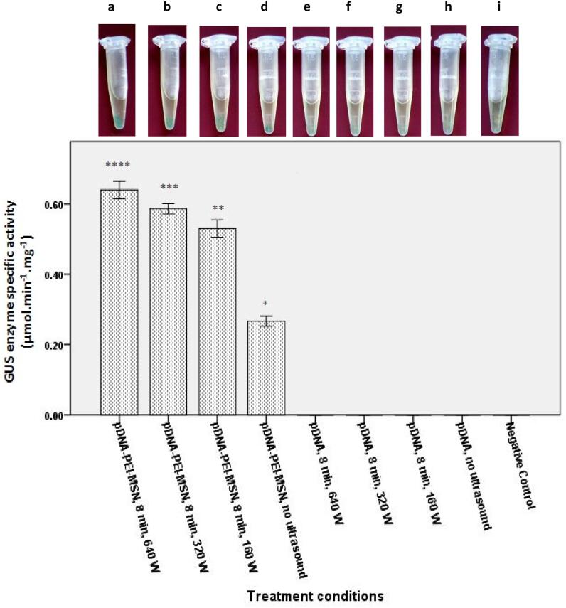 Fig. 8