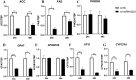 Fig 10