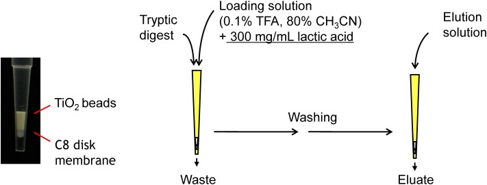 Fig. 2. Enrichment of phosphopeptides using hydroxy acid-modified metal oxide chromatography (HAMMOC).