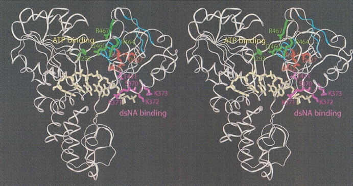 Figure 4.