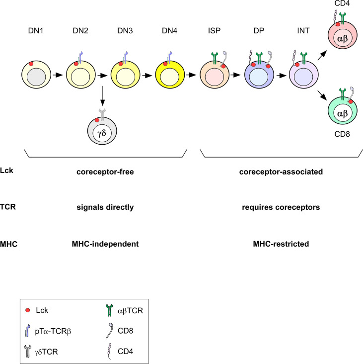 Figure 4