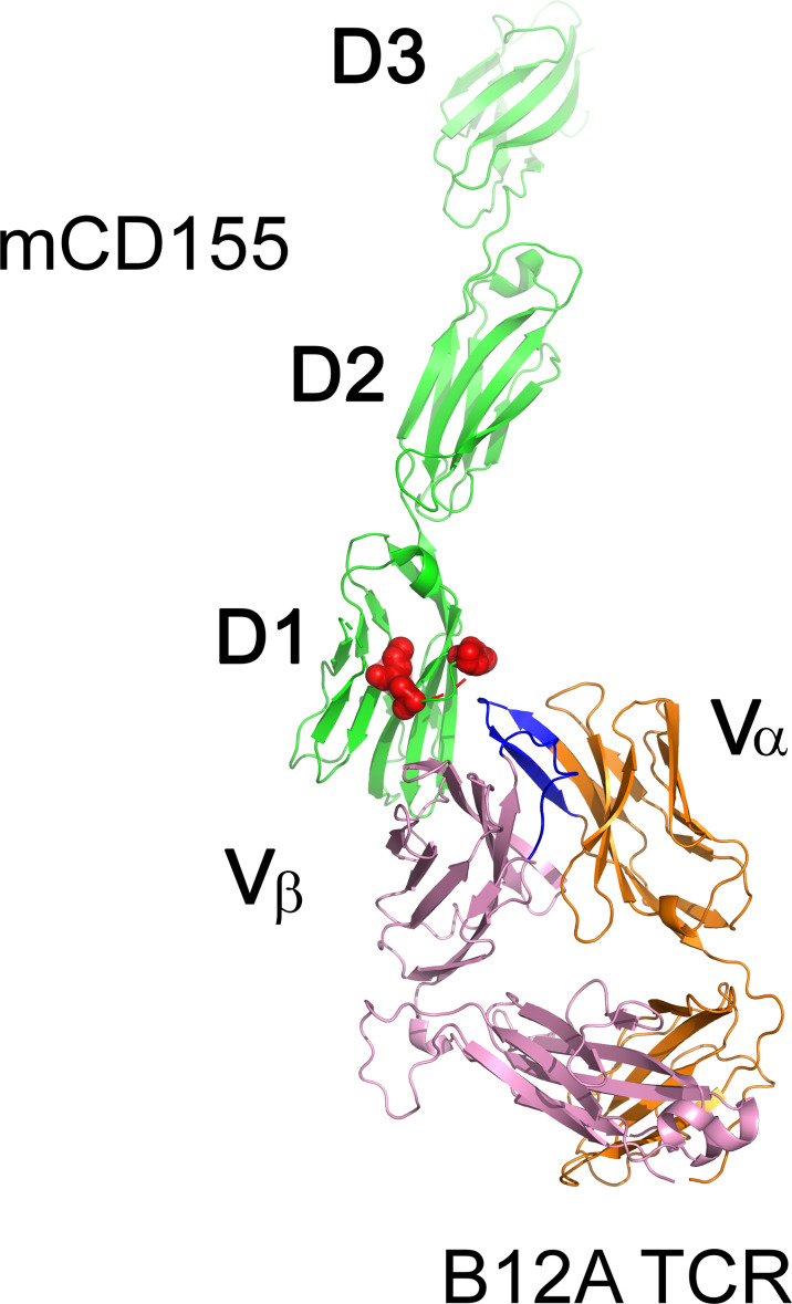 Figure 3