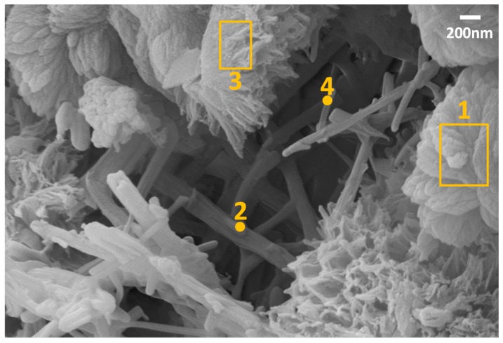 Figure 15