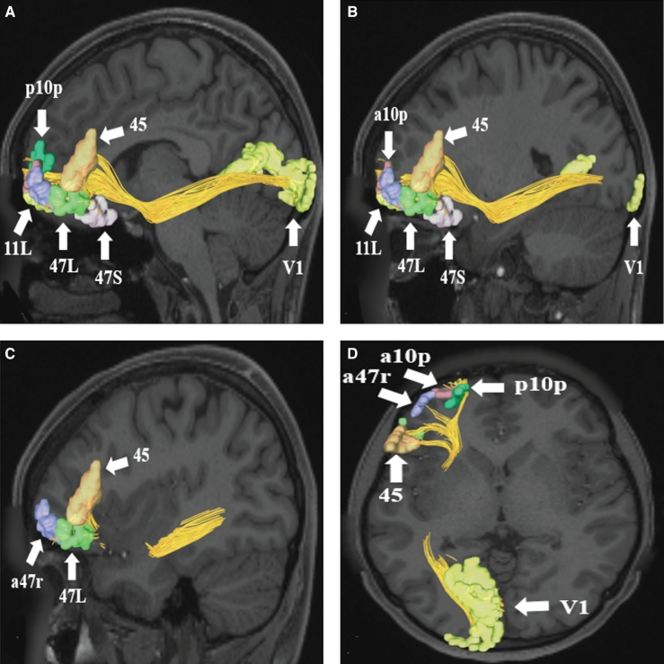 FIGURE 3.