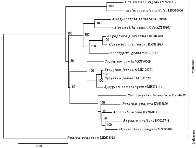 Figure 1.