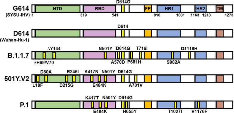 Fig. 1