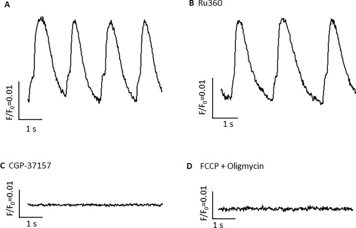 Fig 7