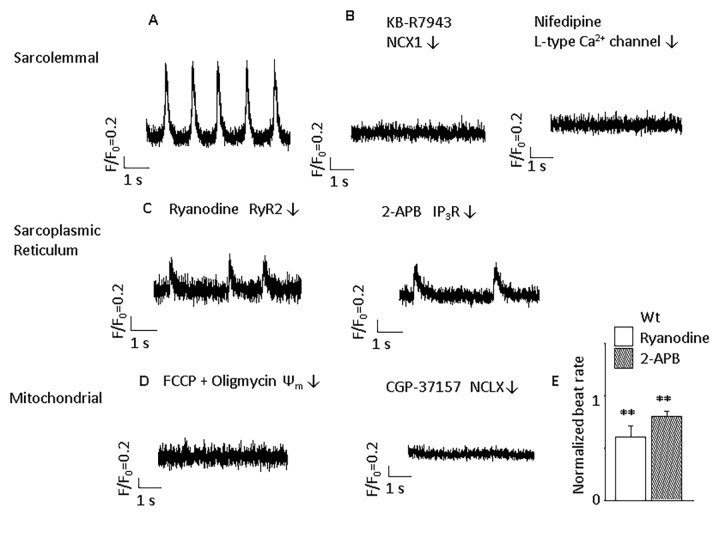 Fig 2