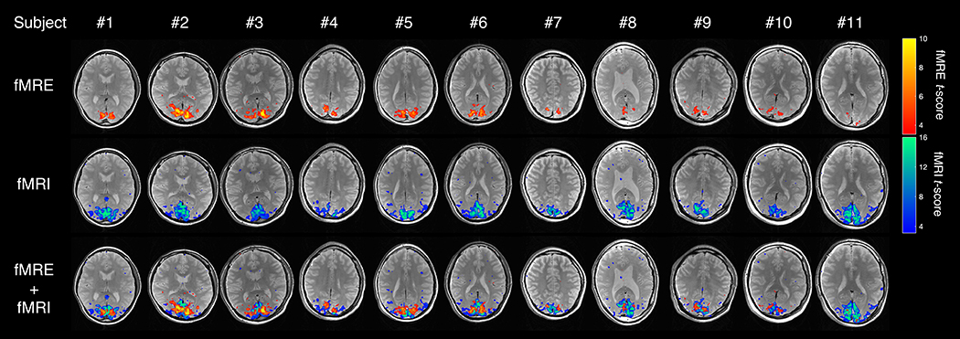 FIGURE 6