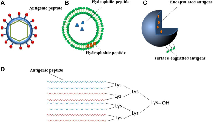 FIGURE 2