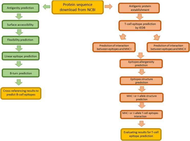 FIGURE 3