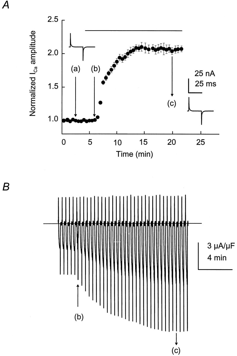 Fig. 1.