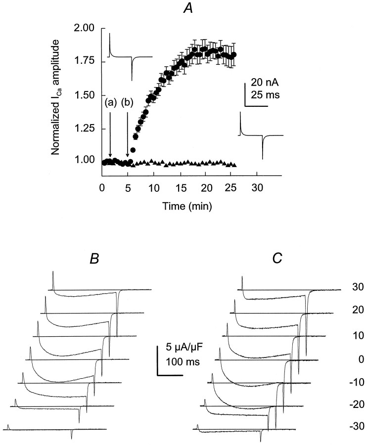 Fig. 6.