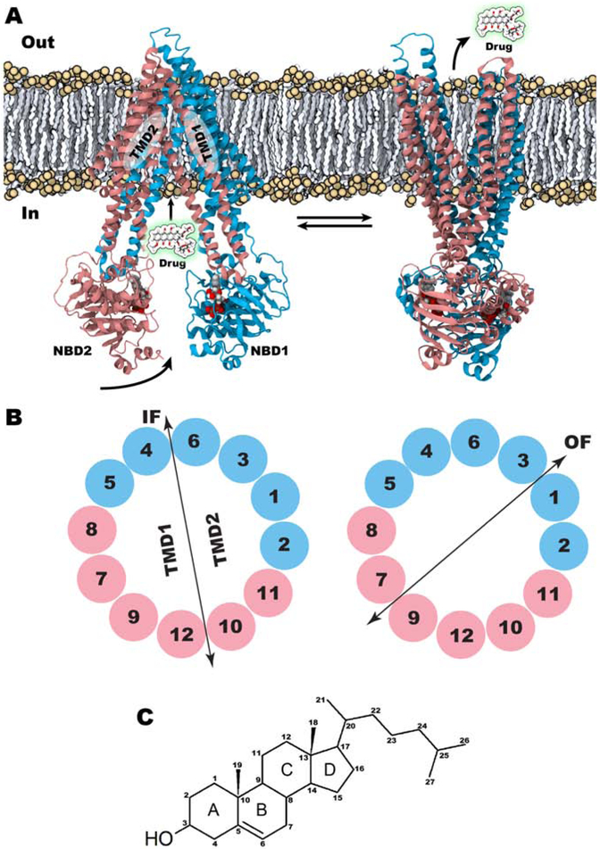 Figure 1: