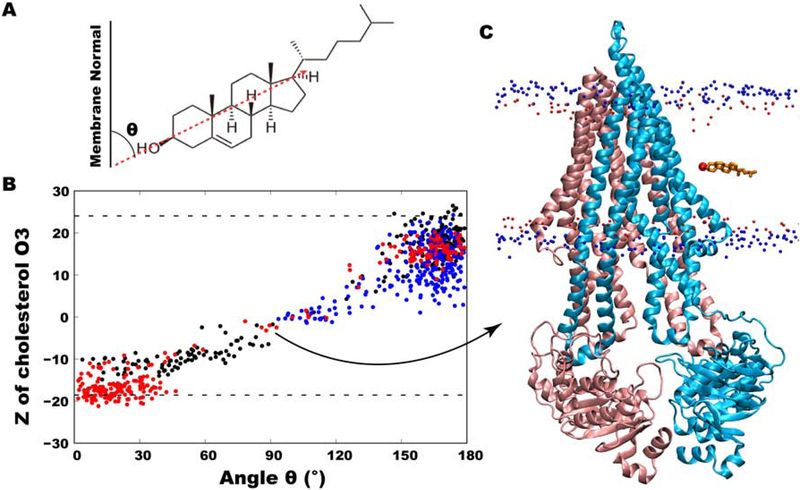 Figure 6: