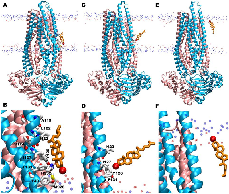 Figure 7: