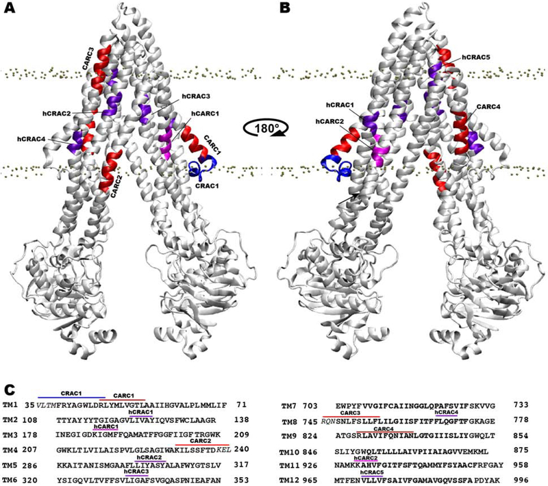 Figure 2: