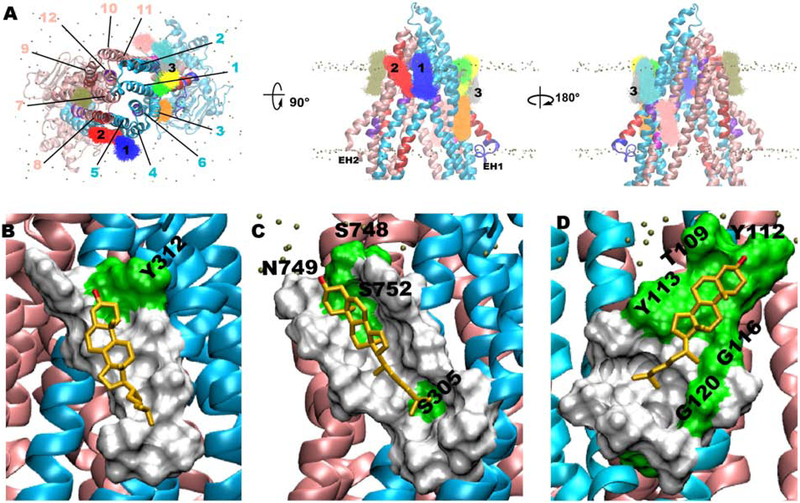 Figure 3: