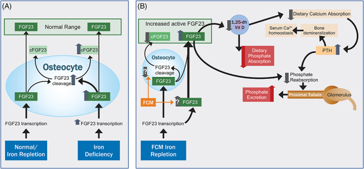 FIGURE 3