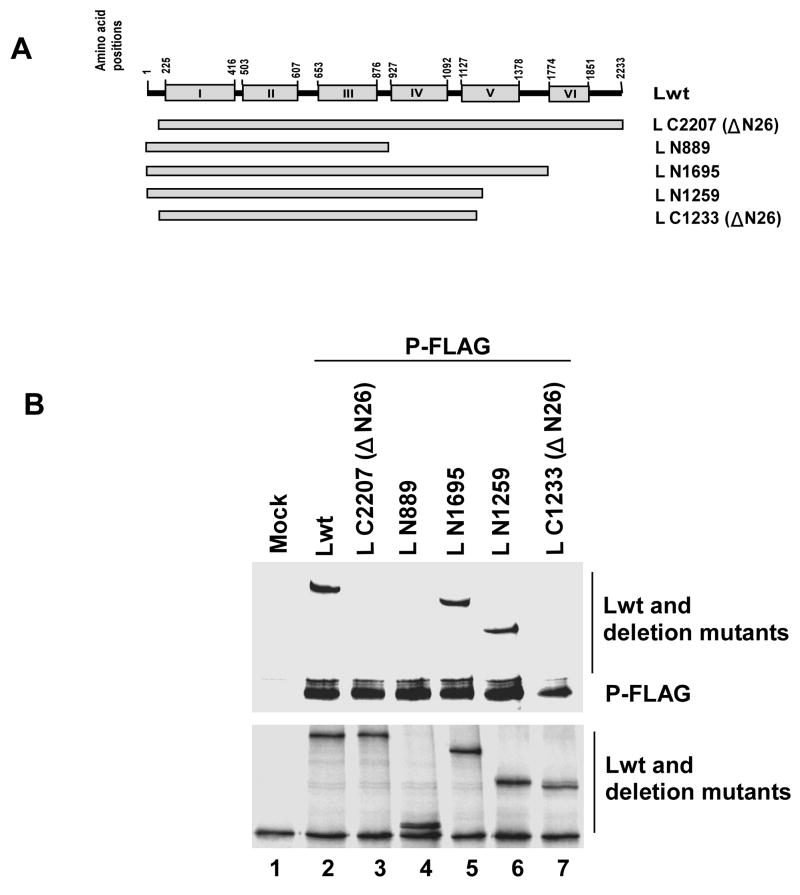 Fig. 5