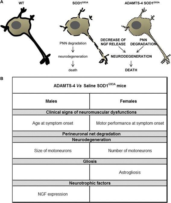 Fig. 12