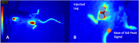 Fig. 2 A-B