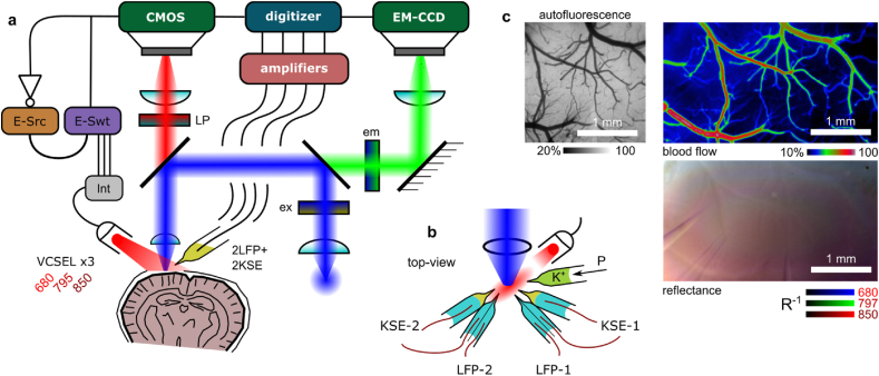 Fig. 1