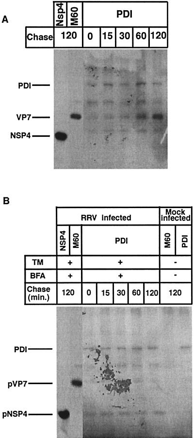 FIG. 5