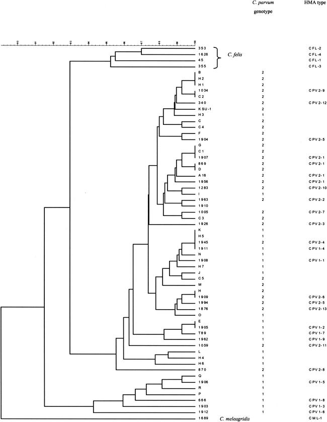 FIG. 5.