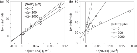 Figure 4.