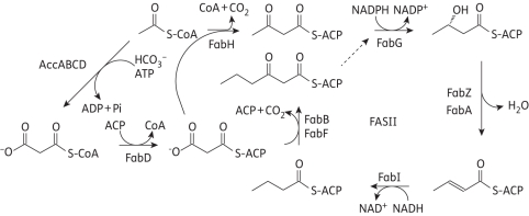 Figure 1.