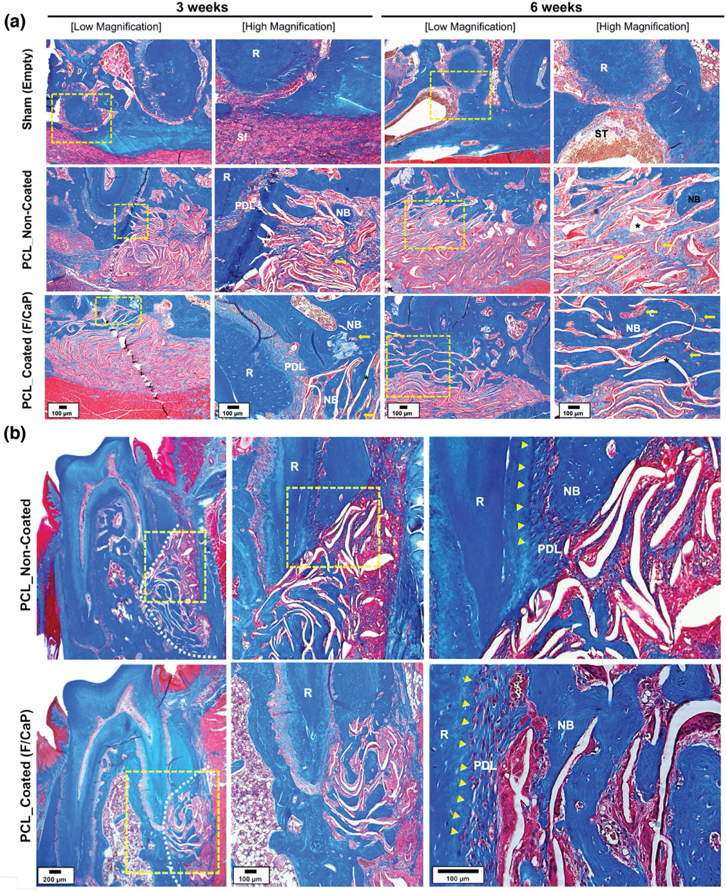 Figure 12.