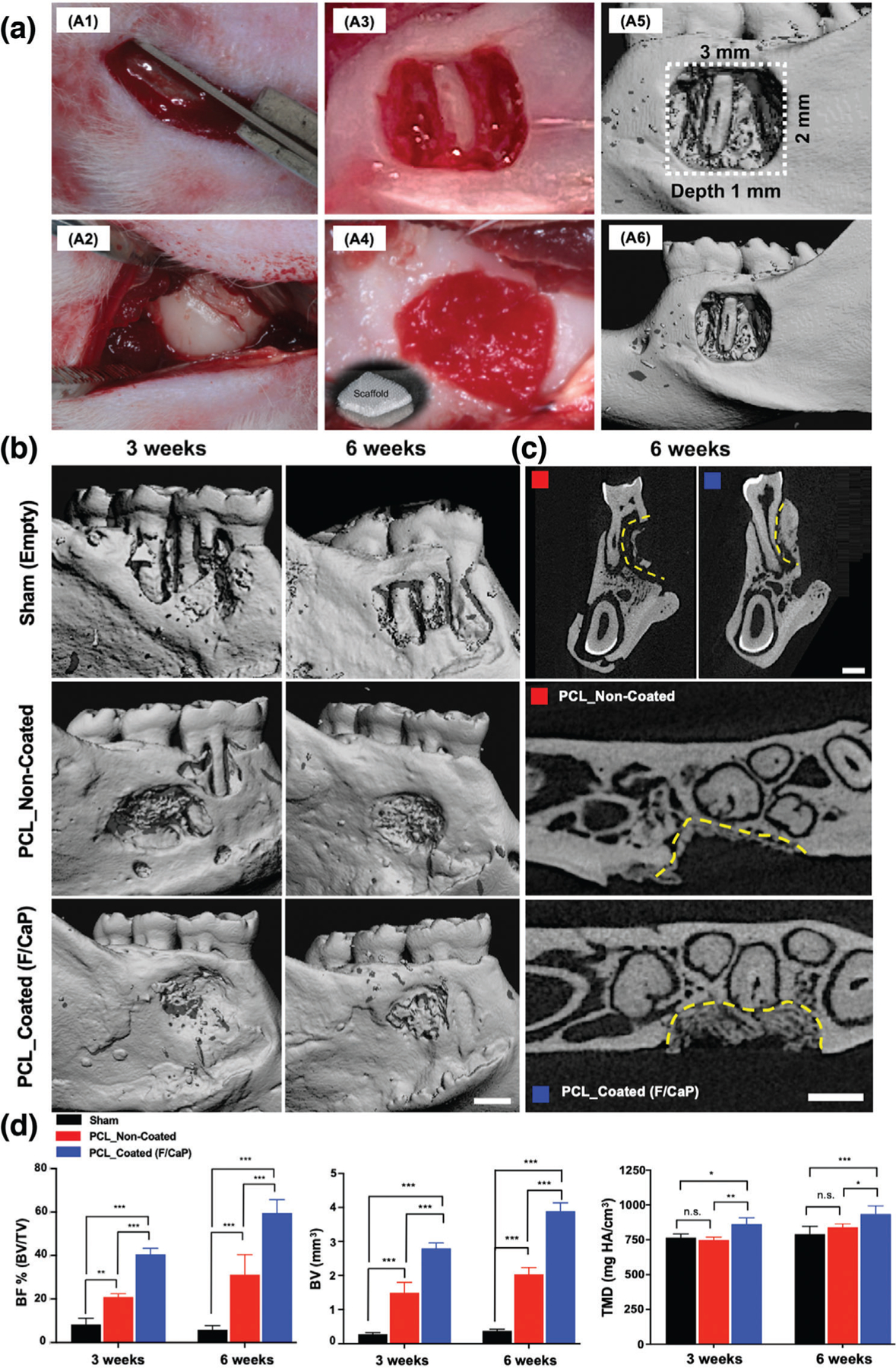 Figure 11.