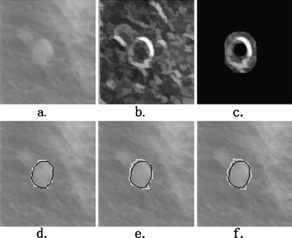 Fig. 6