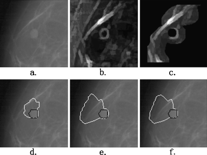 Fig. 7