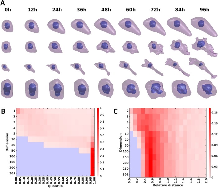 FIGURE 7: