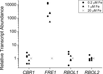 FIG. 1.