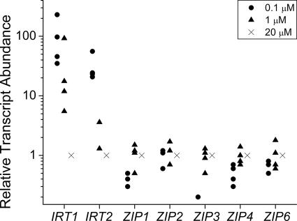 FIG. 2.