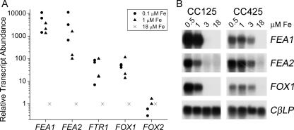 FIG. 5.