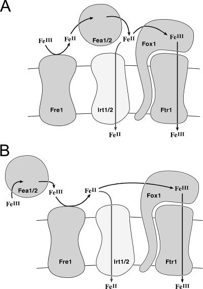 FIG. 9.