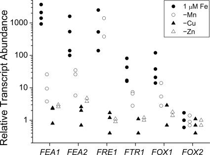 FIG. 6.