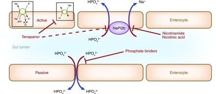 Figure 1.