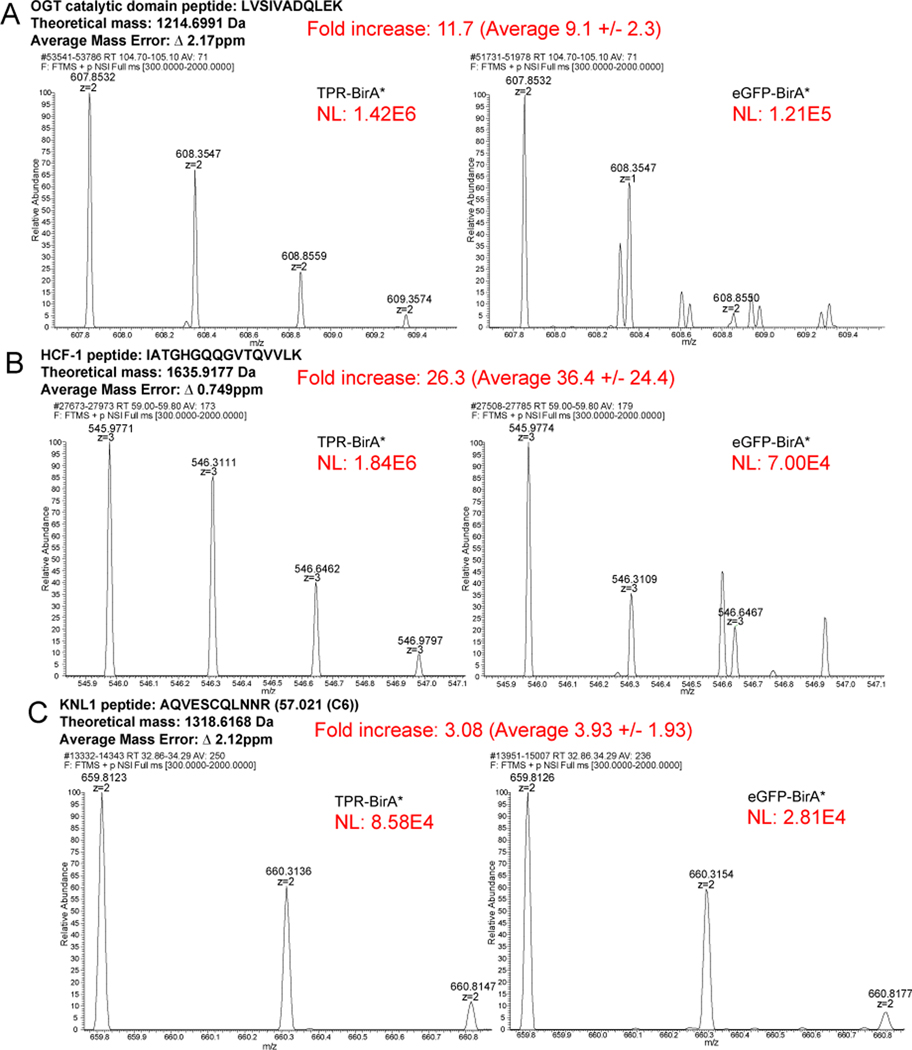 Figure 3: