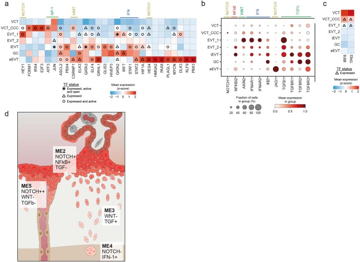 Extended Data Fig. 8